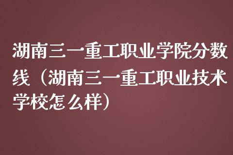 湖南三一重工职业学院分数线（湖南三一重工职业技术学校怎么样）_https://www.fsyjjx.cn_股票指导_第1张