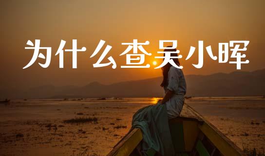 为什么查吴小晖_https://www.fsyjjx.cn_期货研报_第1张