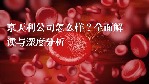 京天利公司怎么样？全面解读与深度分析_https://www.fsyjjx.cn_理财资讯_第1张