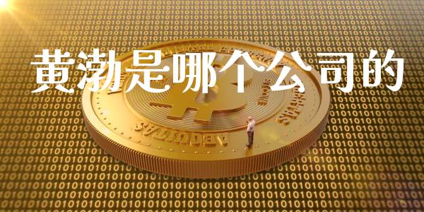 黄渤是哪个公司的_https://www.fsyjjx.cn_问财精选_第1张