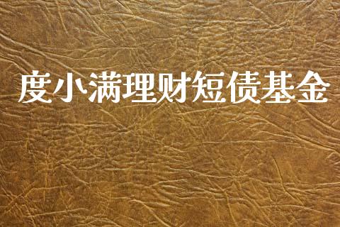 度小满理财短债基金_https://www.fsyjjx.cn_问财精选_第1张