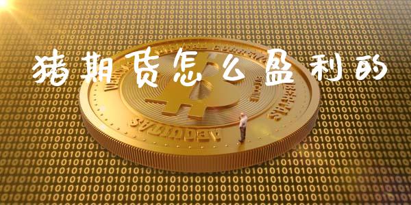 猪期货怎么盈利的_https://www.fsyjjx.cn_股票指导_第1张
