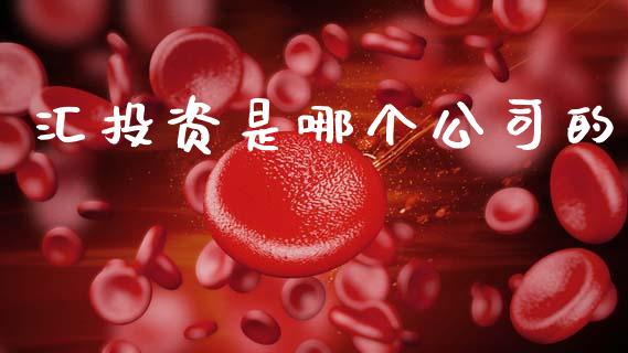 汇投资是哪个公司的_https://www.fsyjjx.cn_期货在线_第1张