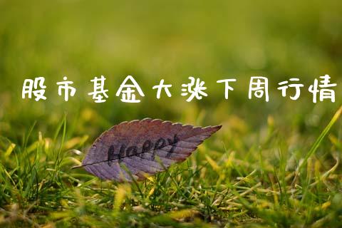 股市基金大涨下周行情_https://www.fsyjjx.cn_理财资讯_第1张