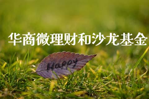华商微理财和沙龙基金_https://www.fsyjjx.cn_问财精选_第1张
