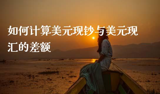 如何计算美元现钞与美元现汇的差额_https://www.fsyjjx.cn_股市分析_第1张