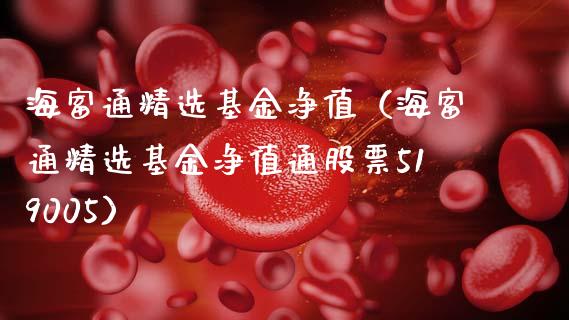 海富通精选基金净值（海富通精选基金净值通股票519005）_https://www.fsyjjx.cn_问财精选_第1张