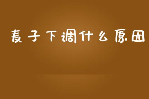 麦子下调什么原因_https://www.fsyjjx.cn_问财精选_第1张