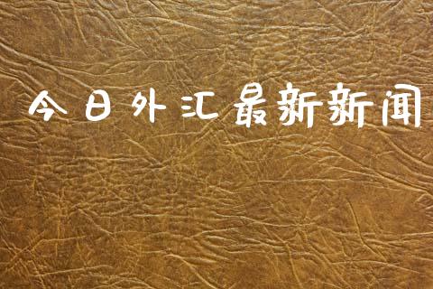 今日外汇最新新闻_https://www.fsyjjx.cn_期货研报_第1张