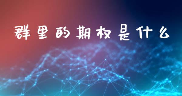 群里的期权是什么_https://www.fsyjjx.cn_股指期货_第1张