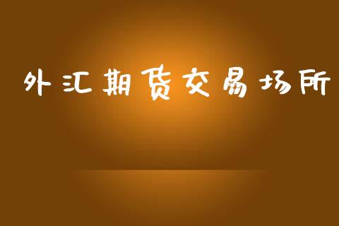 外汇期货交易场所_https://www.fsyjjx.cn_问财精选_第1张