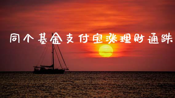 同个基金支付宝涨理财通跌_https://www.fsyjjx.cn_问财精选_第1张