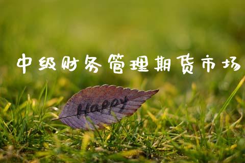 中级财务管理期货市场_https://www.fsyjjx.cn_问财精选_第1张