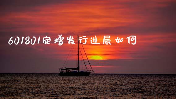 601801定增发行进展如何_https://www.fsyjjx.cn_股市分析_第1张