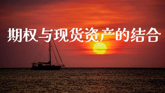 期权与现货资产的结合_https://www.fsyjjx.cn_理财资讯_第1张