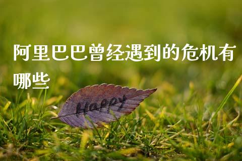 阿里巴巴曾经遇到的危机有哪些_https://www.fsyjjx.cn_问财精选_第1张
