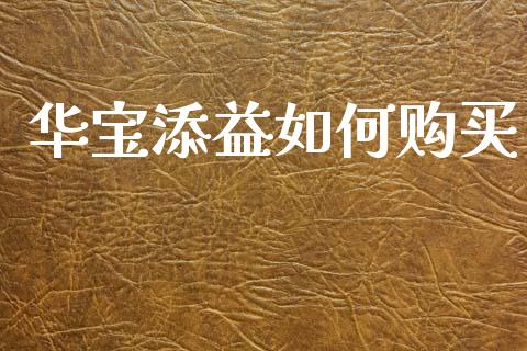 华宝添益如何购买_https://www.fsyjjx.cn_期货在线_第1张