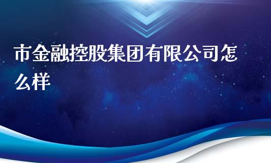 市金融控股集团有限公司怎么样_https://www.fsyjjx.cn_问财精选_第1张