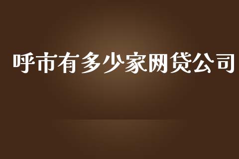 呼市有多少家网贷公司_https://www.fsyjjx.cn_期货资讯_第1张