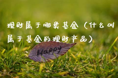 理财属于哪类基金（什么叫属于基金的理财产品）_https://www.fsyjjx.cn_问财精选_第1张