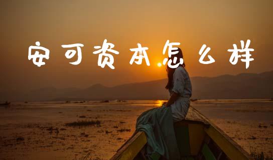 安可资本怎么样_https://www.fsyjjx.cn_期货在线_第1张