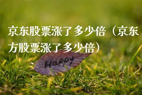 京东股票涨了多少倍（京东方股票涨了多少倍）_https://www.fsyjjx.cn_股票指导_第1张