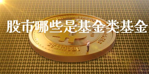 股市哪些是基金类基金_https://www.fsyjjx.cn_理财资讯_第1张