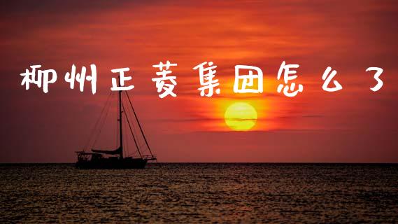 柳州正菱集团怎么了_https://www.fsyjjx.cn_股市分析_第1张