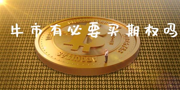 牛市有必要买期权吗_https://www.fsyjjx.cn_期货资讯_第1张