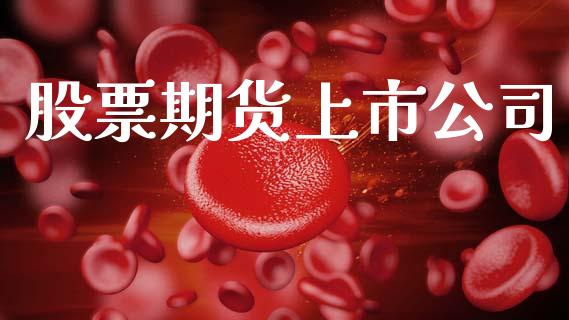 股票期货上市公司_https://www.fsyjjx.cn_股票指导_第1张