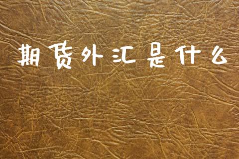 期货外汇是什么_https://www.fsyjjx.cn_期货资讯_第1张