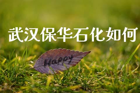 武汉保华石化如何_https://www.fsyjjx.cn_理财资讯_第1张