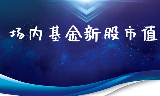 场内基金新股市值_https://www.fsyjjx.cn_理财资讯_第1张