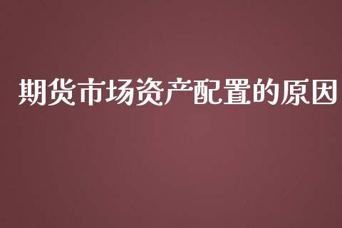 期货市场资产配置的原因_https://www.fsyjjx.cn_问财精选_第1张