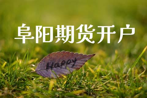阜阳期货开户_https://www.fsyjjx.cn_股市分析_第1张