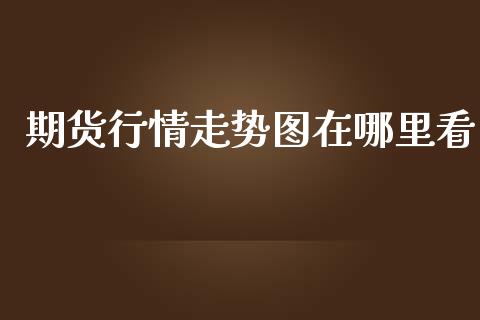 期货行情走势图在哪里看_https://www.fsyjjx.cn_期货研报_第1张