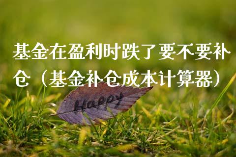 基金在盈利时跌了要不要补仓（基金补仓成本计算器）_https://www.fsyjjx.cn_理财资讯_第1张