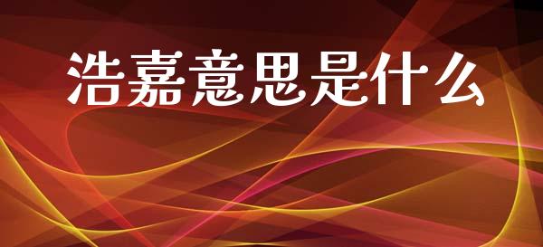 浩嘉意思是什么_https://www.fsyjjx.cn_期货资讯_第1张