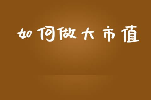 如何做大市值_https://www.fsyjjx.cn_问财精选_第1张