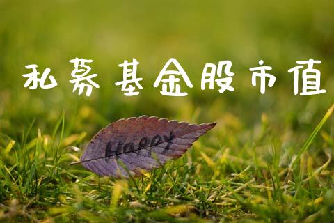 私募基金股市值_https://www.fsyjjx.cn_问财精选_第1张