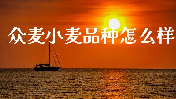 众麦小麦品种怎么样_https://www.fsyjjx.cn_股票指导_第1张