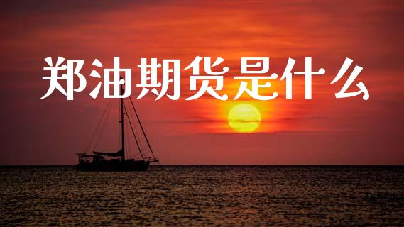 郑油期货是什么_https://www.fsyjjx.cn_期货在线_第1张