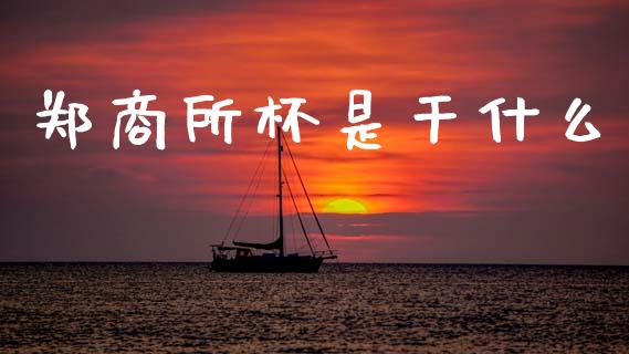 郑商所杯是干什么_https://www.fsyjjx.cn_期货资讯_第1张