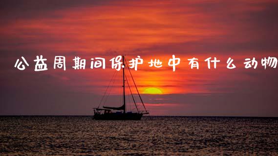 公益周期间保护地中有什么动物_https://www.fsyjjx.cn_理财资讯_第1张