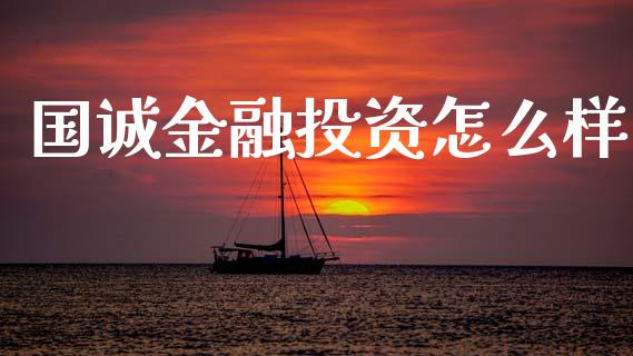 国诚金融投资怎么样_https://www.fsyjjx.cn_问财精选_第1张