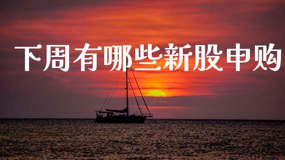 下周有哪些新股申购_https://www.fsyjjx.cn_股指期货_第1张