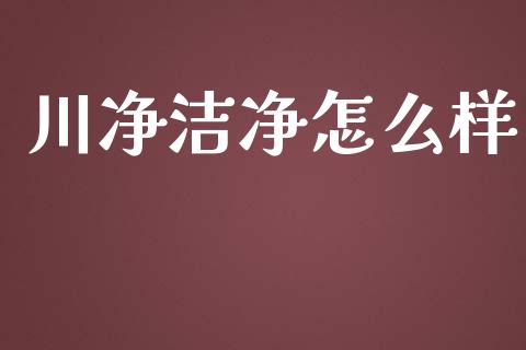 川净洁净怎么样_https://www.fsyjjx.cn_期货资讯_第1张