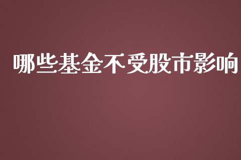 哪些基金不受股市影响_https://www.fsyjjx.cn_理财资讯_第1张