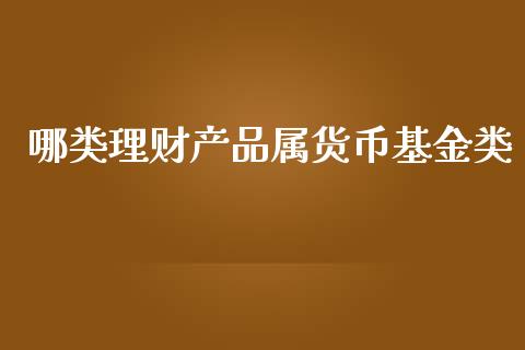 哪类理财产品属货币基金类_https://www.fsyjjx.cn_问财精选_第1张
