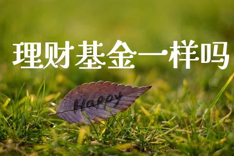 理财基金一样吗_https://www.fsyjjx.cn_问财精选_第1张